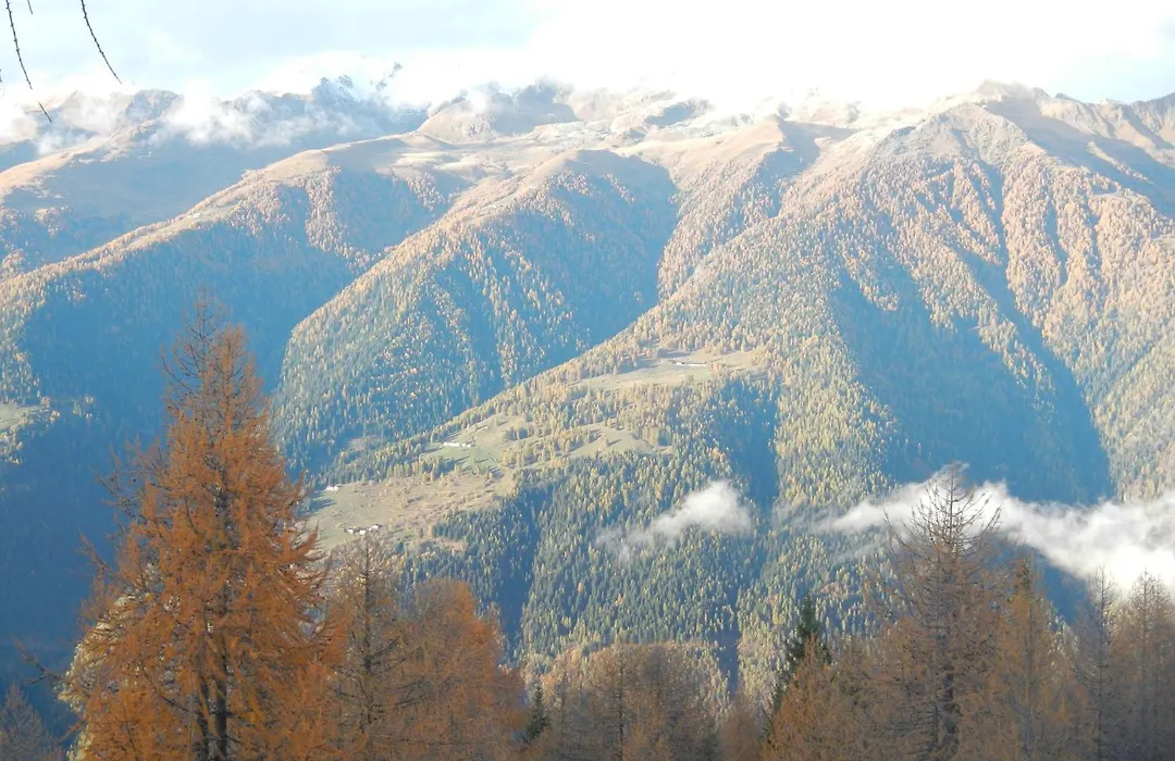 Villetta Val Di Sole-1